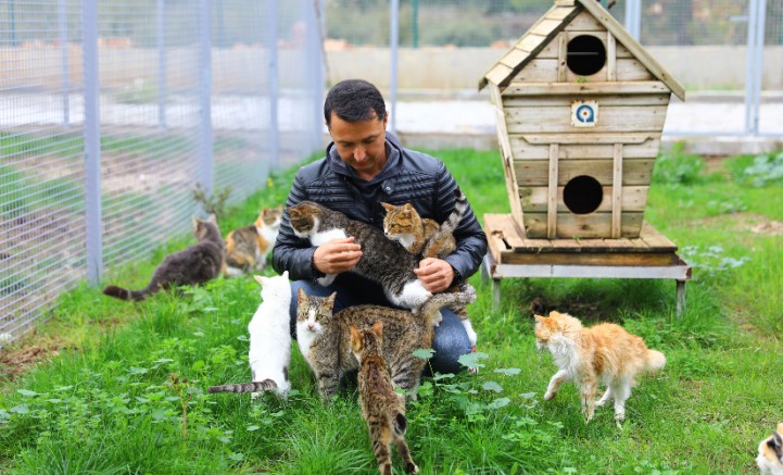 Antalya Büyükşehir Belediyesi’nin  Sokak Hayvanları Bakımevi can dostları ağırlamaya başladı