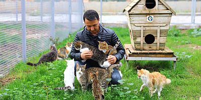 Antalya Büyükşehir Belediyesi’nin  Sokak Hayvanları Bakımevi can dostları ağırlamaya başladı